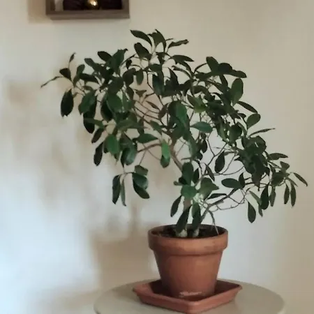 דירה Apartamento Para Parejas Con Parking Privado Gratis *
